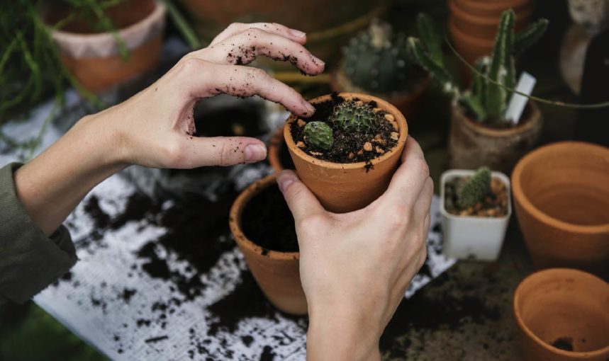 Gardening