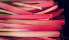 Rhubarb