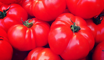 Tomatoe
