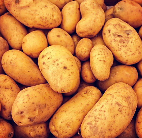 Potato Grid