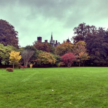 Cardiff