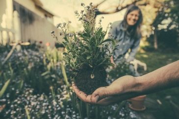 Gardening routine