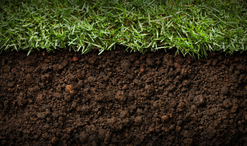 Seedbed Preparation