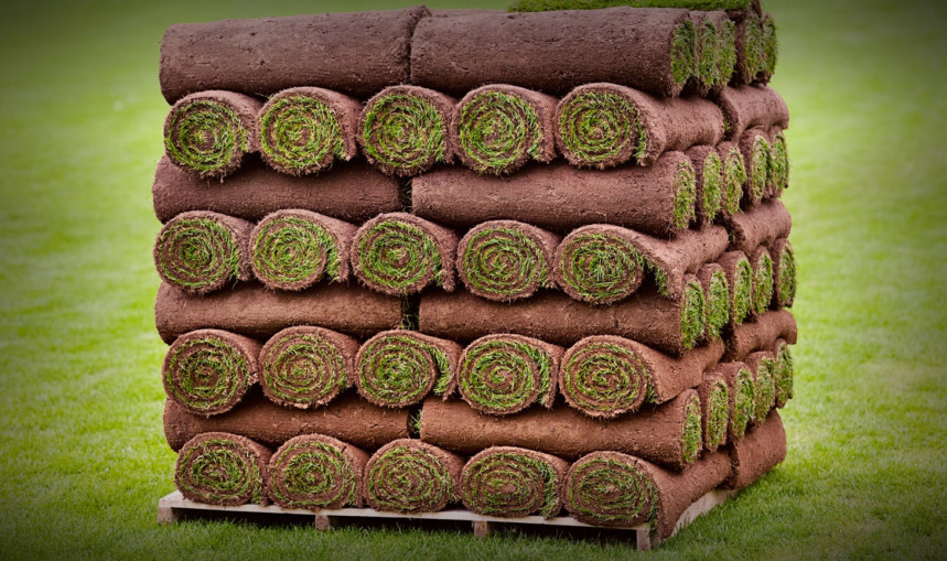 Turf Quality Update