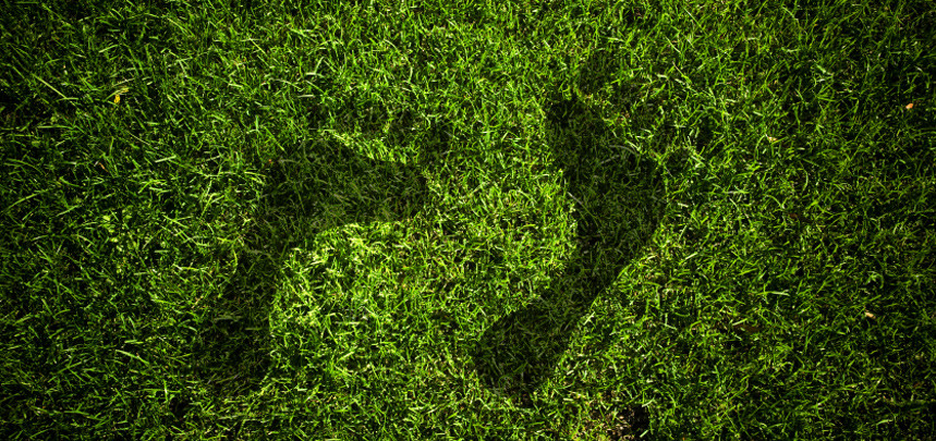 Carbon Footprint