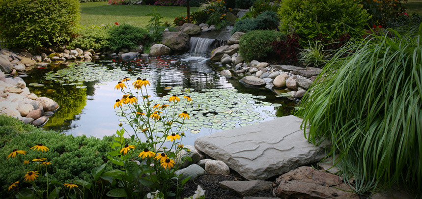 Landscpaing