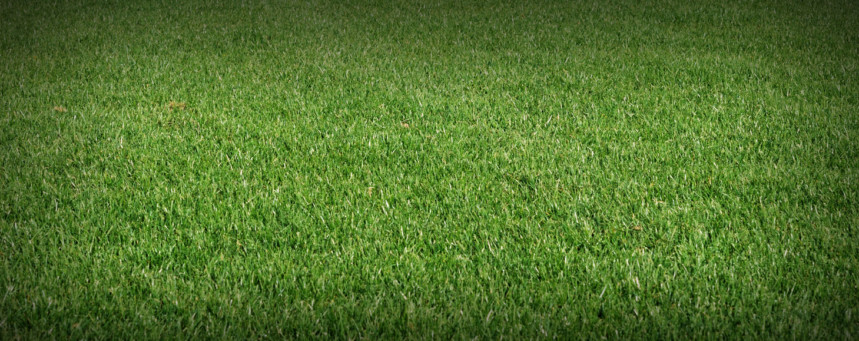 Turf Specification