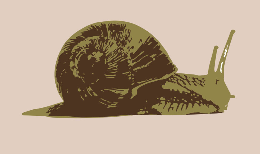 Custom snail