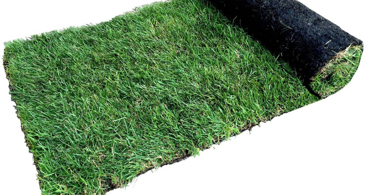 Budget Turf Online Soil