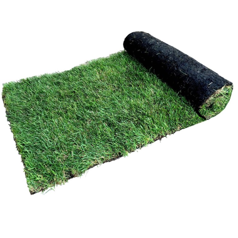 budget lawn