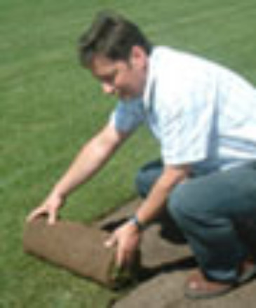 Ian Turf