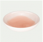 Lot 6 assiettes creuses