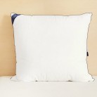 Oreiller Tediber 60x60