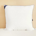 Oreiller Tediber 60x60