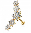 Piercing cartilage oreille - longueur 6 mm