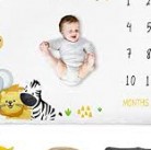 Couverture pour photos évolution MINI