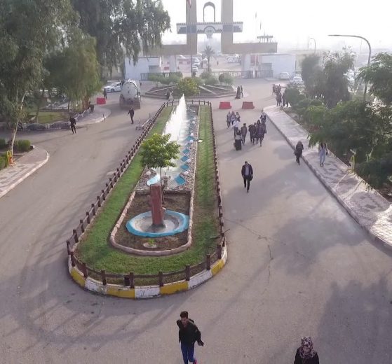 جامعة بابل