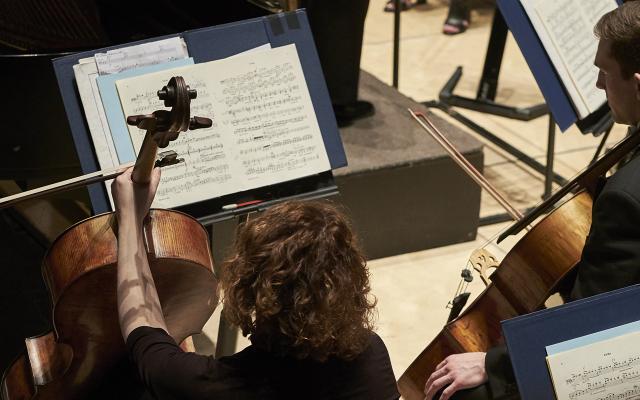 A female and a male cellist seen from behind, seated and studying a musical score
