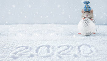 2020 optex christmas web 250x150