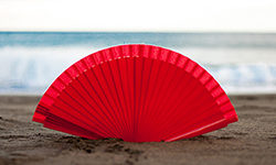 Descubra fan banner 250x150