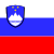 Slovenia flag