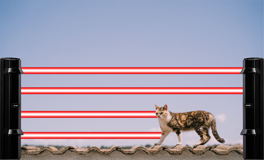 Tech Tip Animal tolerance for outdoor detection web