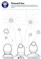 Firework Fun