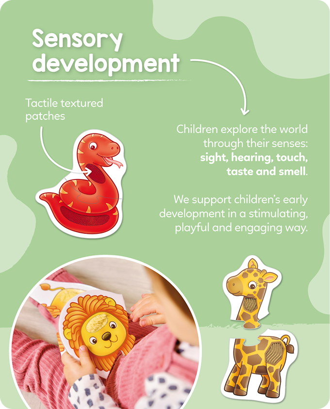 Sensory Development