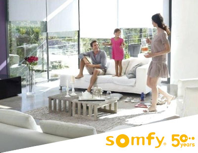 Somfy Blind Motors