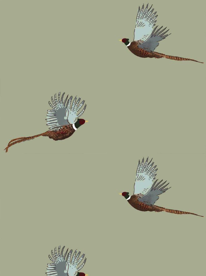 Sophie Allport Pheasant Roman Blind