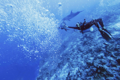 The Tiputa Pass, Rangiroa