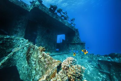 Wreck Dive, Grenada