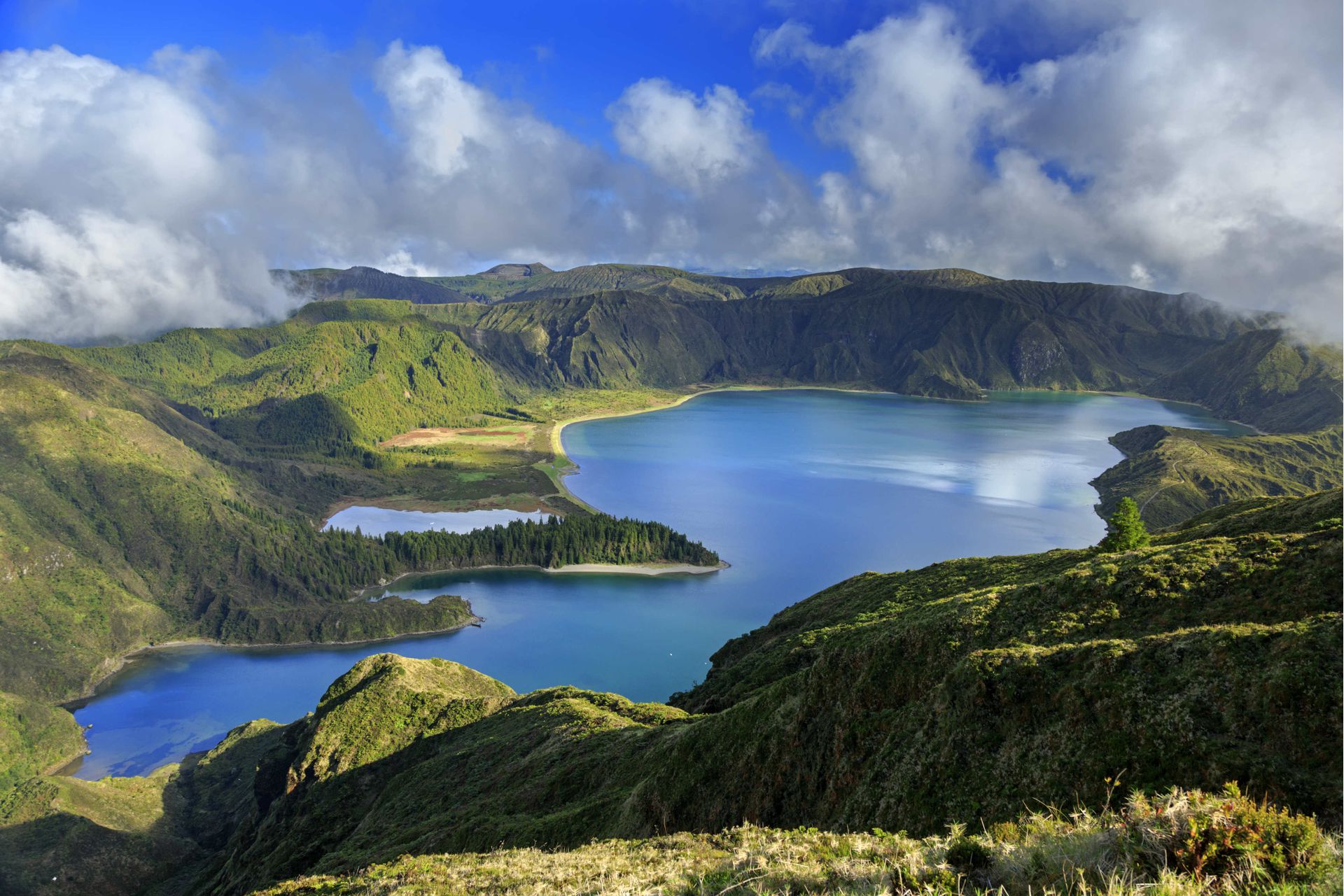 Dive the Azores  Original Diving