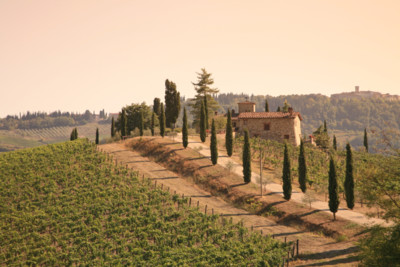 View of the rolling hills of Tuscany
