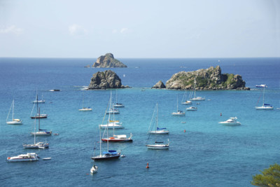 Boats bobbing in the water