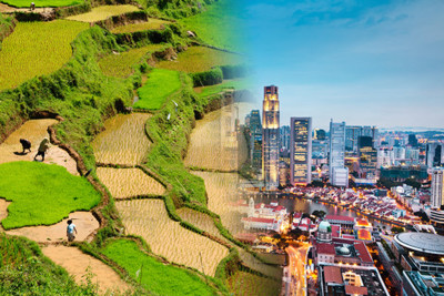 Merge photograph of Singapore and Sulawesi