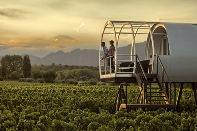 Argentina Wine Tasting