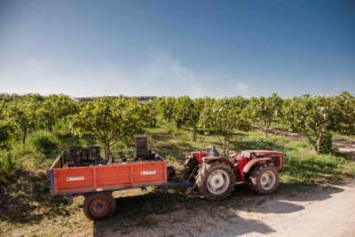 furnirussi-tenuta
