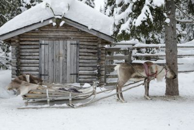 Reindeer Sleigh