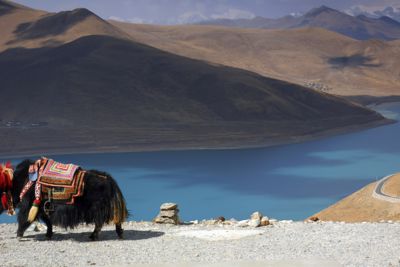 China Landscape