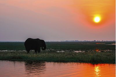 Zambia