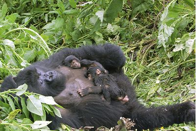 Rwanda