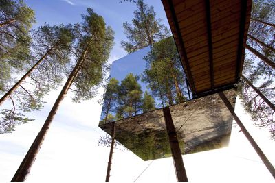 Treehotel, Sweden