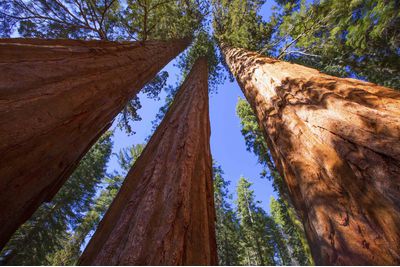 Yosemite National Park, California USA