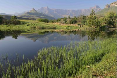 Kwazulu-Natal