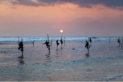 Traditional fishing in Galle