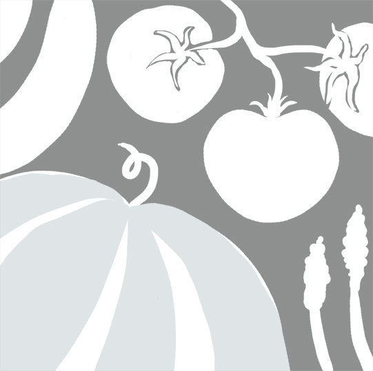 Tomatoes, cucumbers, asparagus and pumpkins for me to color