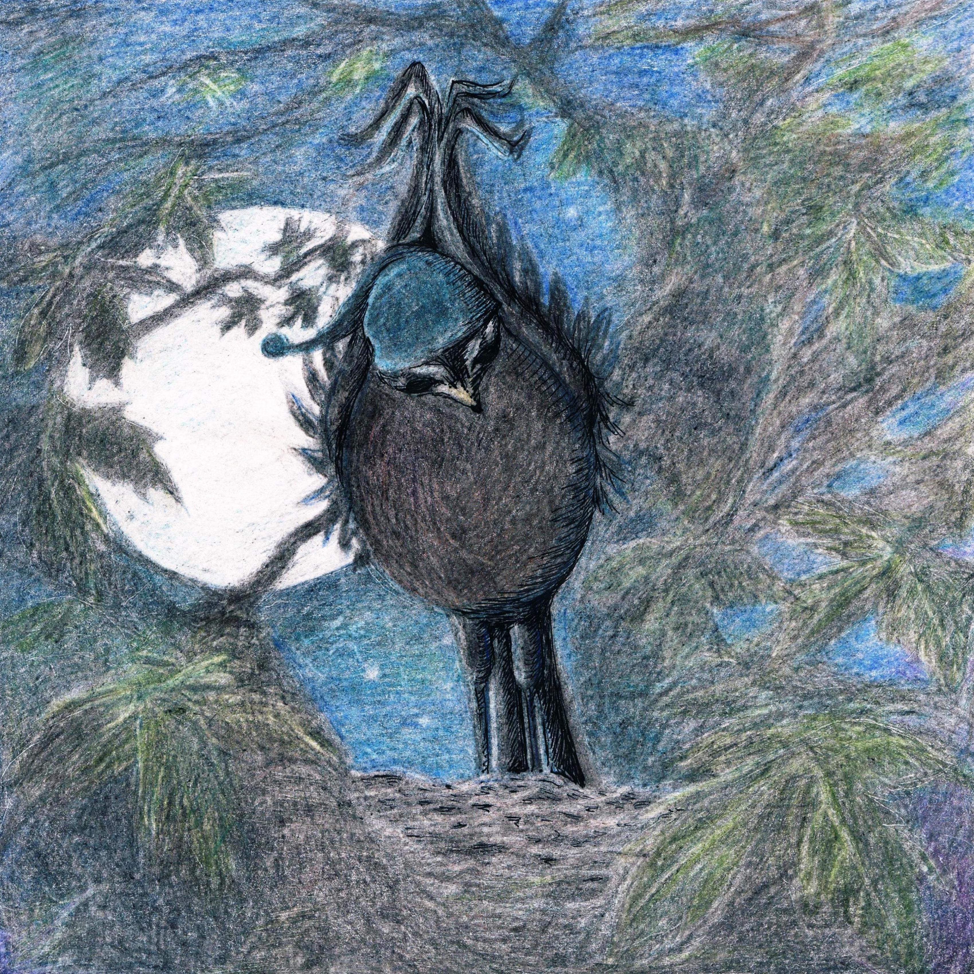 The early bird awoke in the dark and stretched its wings.