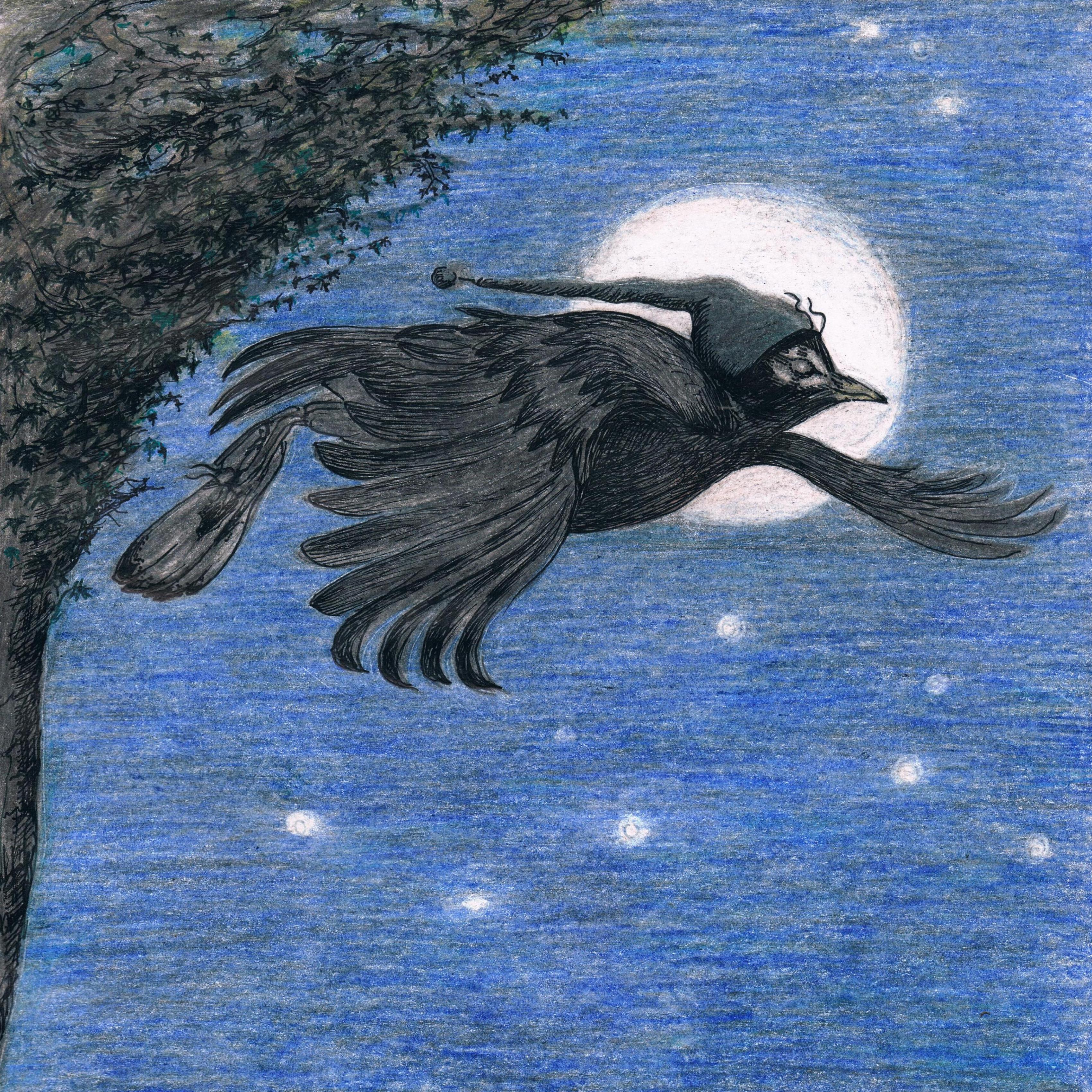 The tired early bird flew down from the next in the dark.