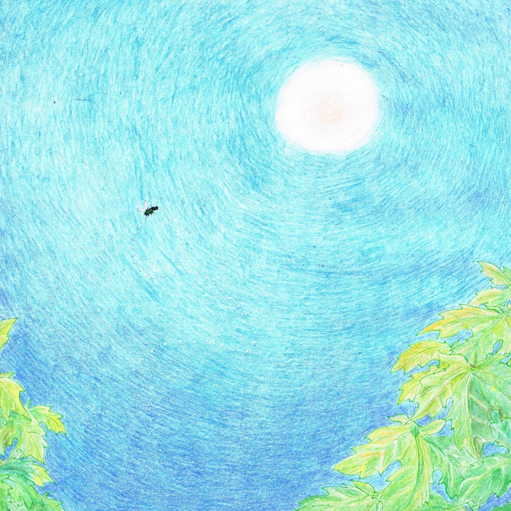 The Early Bird – Illustrated by: Yael Radushkevitz by Mel Rosenberg - 诪诇 专讜讝谞讘专讙 - Illustrated by Yael Radushkevitz - Ourboox.com
